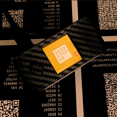 SeedEtcher controller